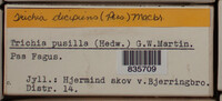 Image Associated With the Occurence
